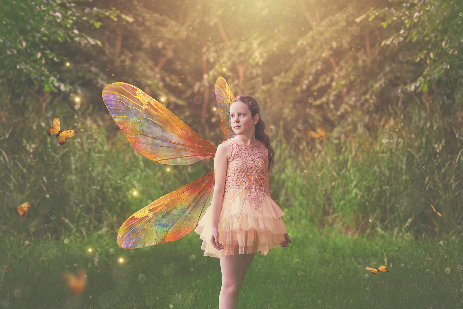 Digital Overlays for Photographers. Fairy Wings. High resolution, fine art digital assets for creating fantasy art.  Png overlay with transparent background. Magical Edit. Png Photo Overlays. Graphic design assets.