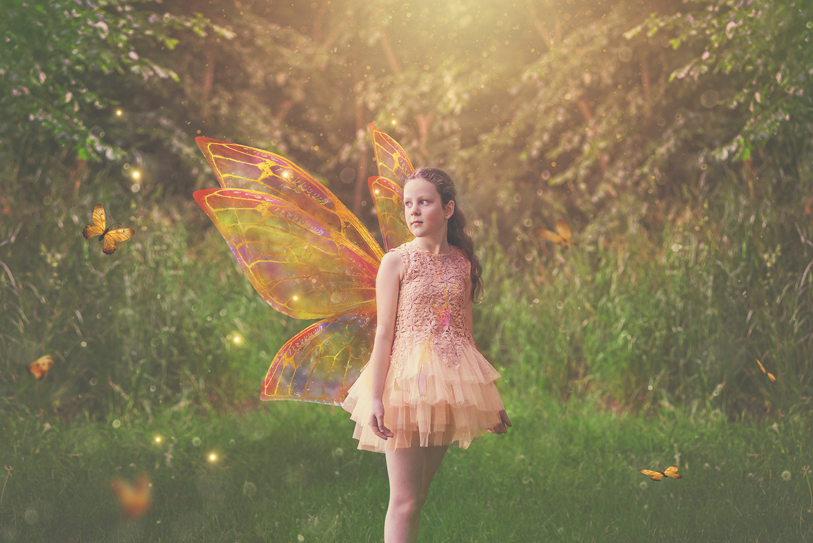 Digital Overlays for Photographers. Fairy Wings. High resolution, fine art digital assets for creating fantasy art.  Png overlay with transparent background. Magical Edit. Png Photo Overlays. Graphic design assets.