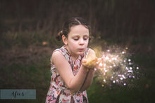 Load image into Gallery viewer, BUNDLE - 80 FAIRY WING OVERLAYS - Set 3

