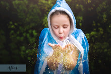 Load image into Gallery viewer, BUNDLE - 80 FAIRY WING OVERLAYS - Set 2

