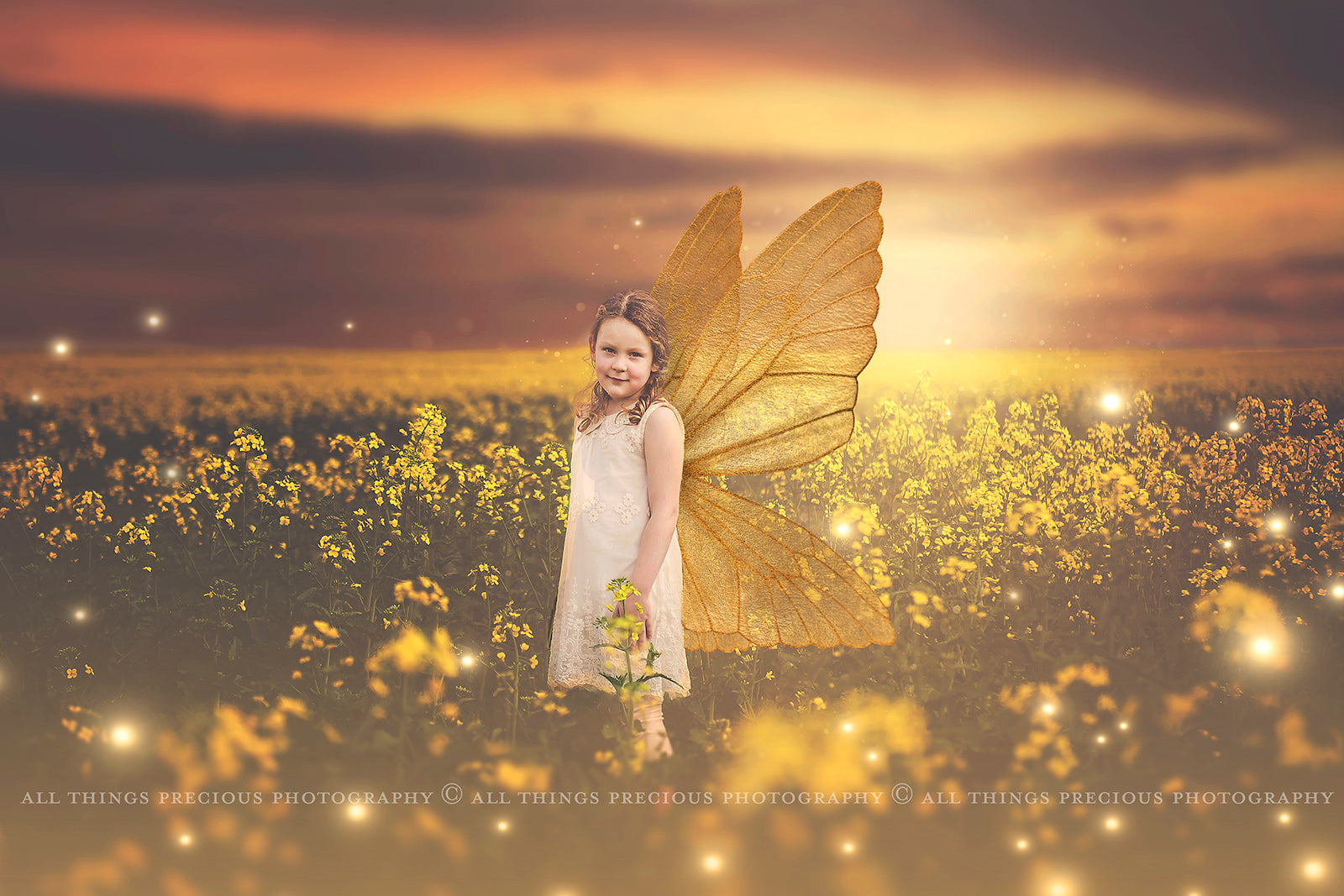 Digital Faery Wing Overlays! Fairy wings, Png overlays for photoshop. Photography editing. High resolution, 300dpi fairy wings. Overlays for photography. Digital stock and resources. Graphic design. Fairy Photos. Colourful Fairy wings. Faerie Wings.