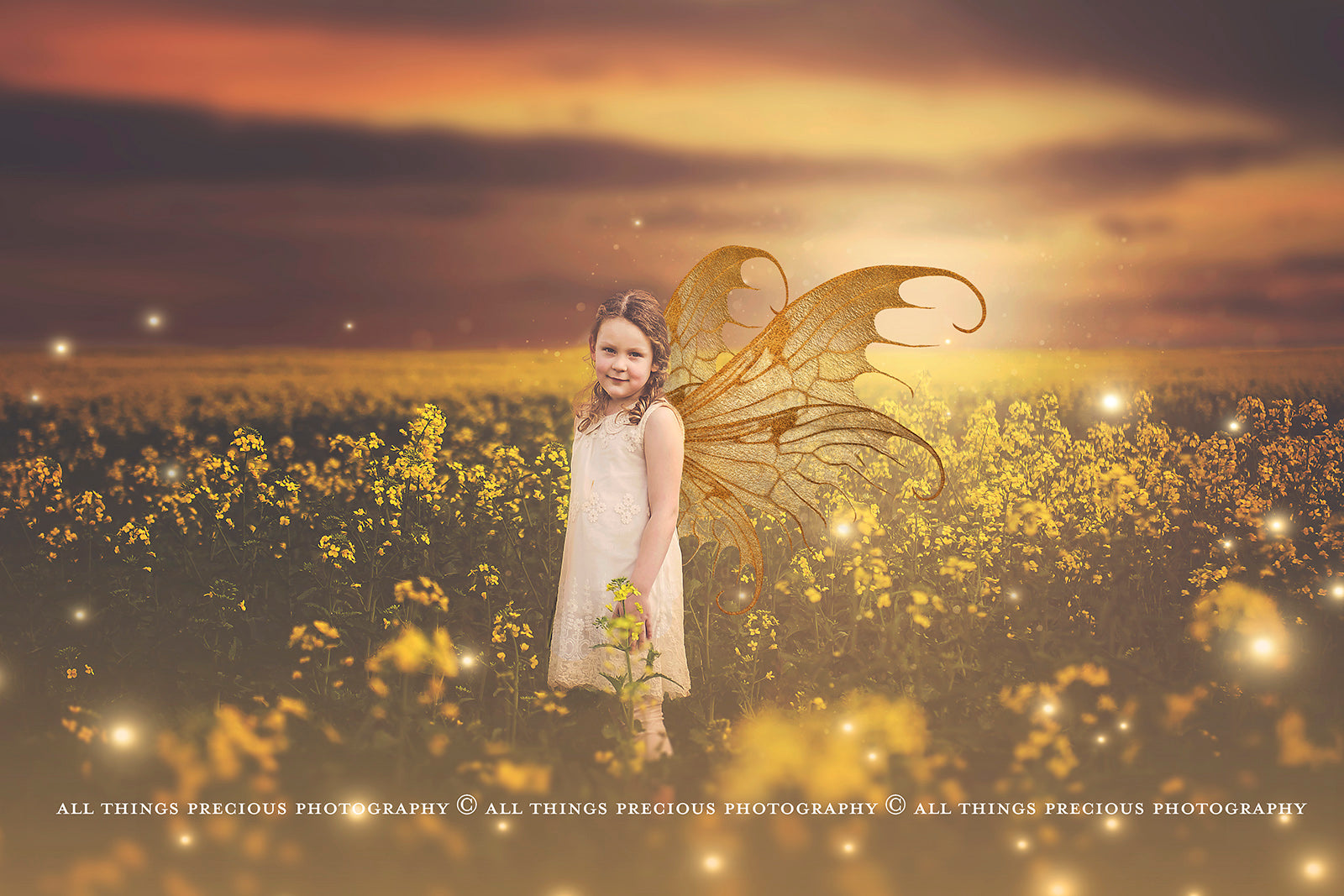 Digital Faery Wing Overlays! Fairy wings, Png overlays for photoshop. Photography editing. High resolution, 300dpi fairy wings. Overlays for photography. Digital stock and resources. Graphic design. Fairy Photos. Colourful Fairy wings. Faerie Wings.