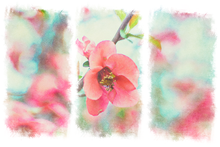 Load image into Gallery viewer, GRUNGE CLIPPING MASKS
