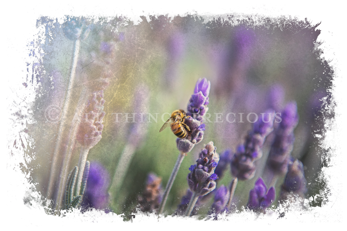 16 GRUNGE Clipping Masks, Fine Art High Resolution Overlays for Photographers, Digital Art and Scrapbooking. Photoshop Photography. Fine art realistic. In high resolution, perfect for your next edit or project! Png graphic photography assets. Sublimation art. ATP Textures