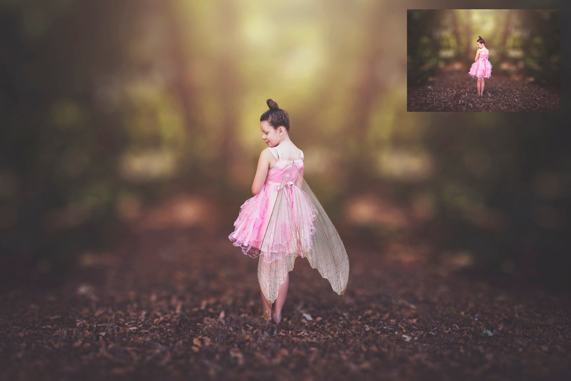 Digital Overlays for Photographers, Graphic design, scrapbooking and creatives.. Fairy Wings. High resolution, fine art digital assets for creating fantasy art.  Png overlay with transparent background. Magical Edit. Png Photo editing art assets.