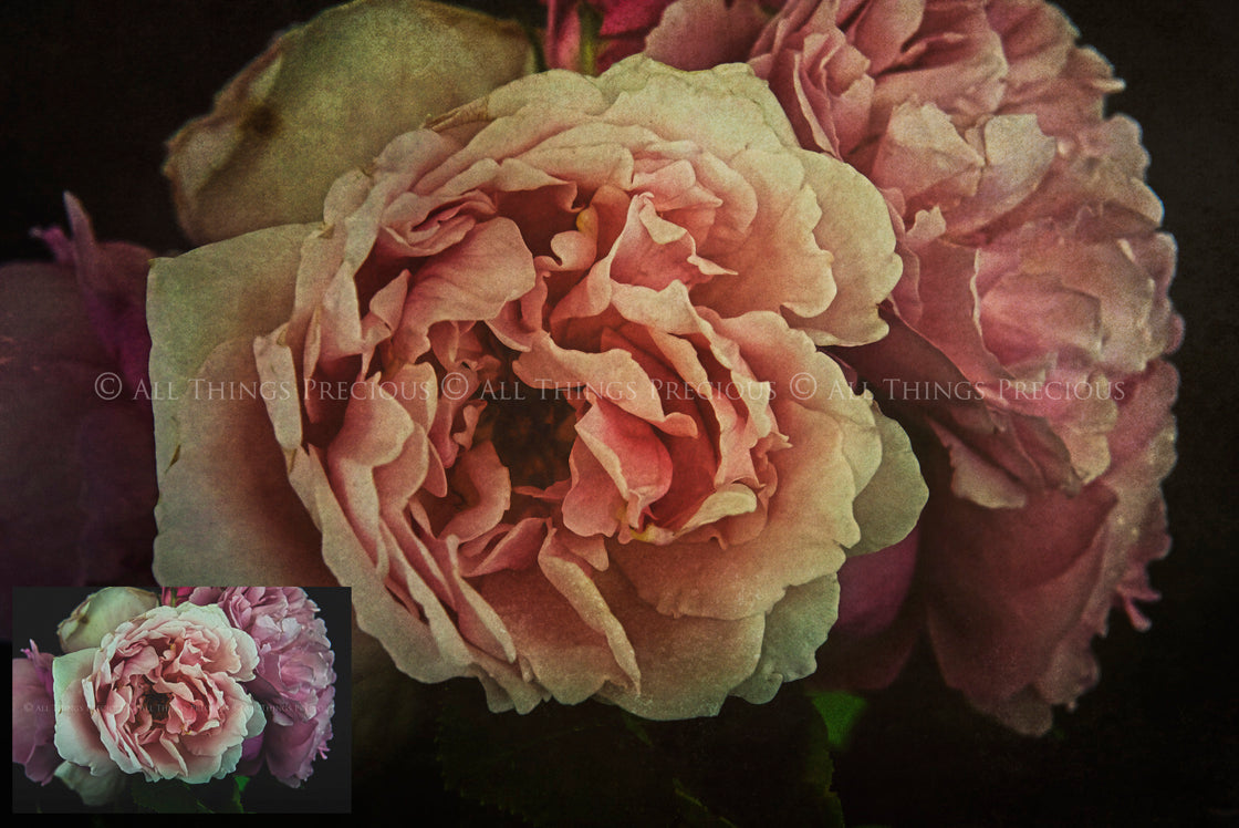 Fine art textures for photographers, digital editing. Photo Overlays. Antique, Vintage, Grunge, Light, Bundle. Textured printable Canvas, Colour, black and white, Bundle. High resolution, 300dpi Graphic Assets for photography, scrapbooking and design. By ATP Textures