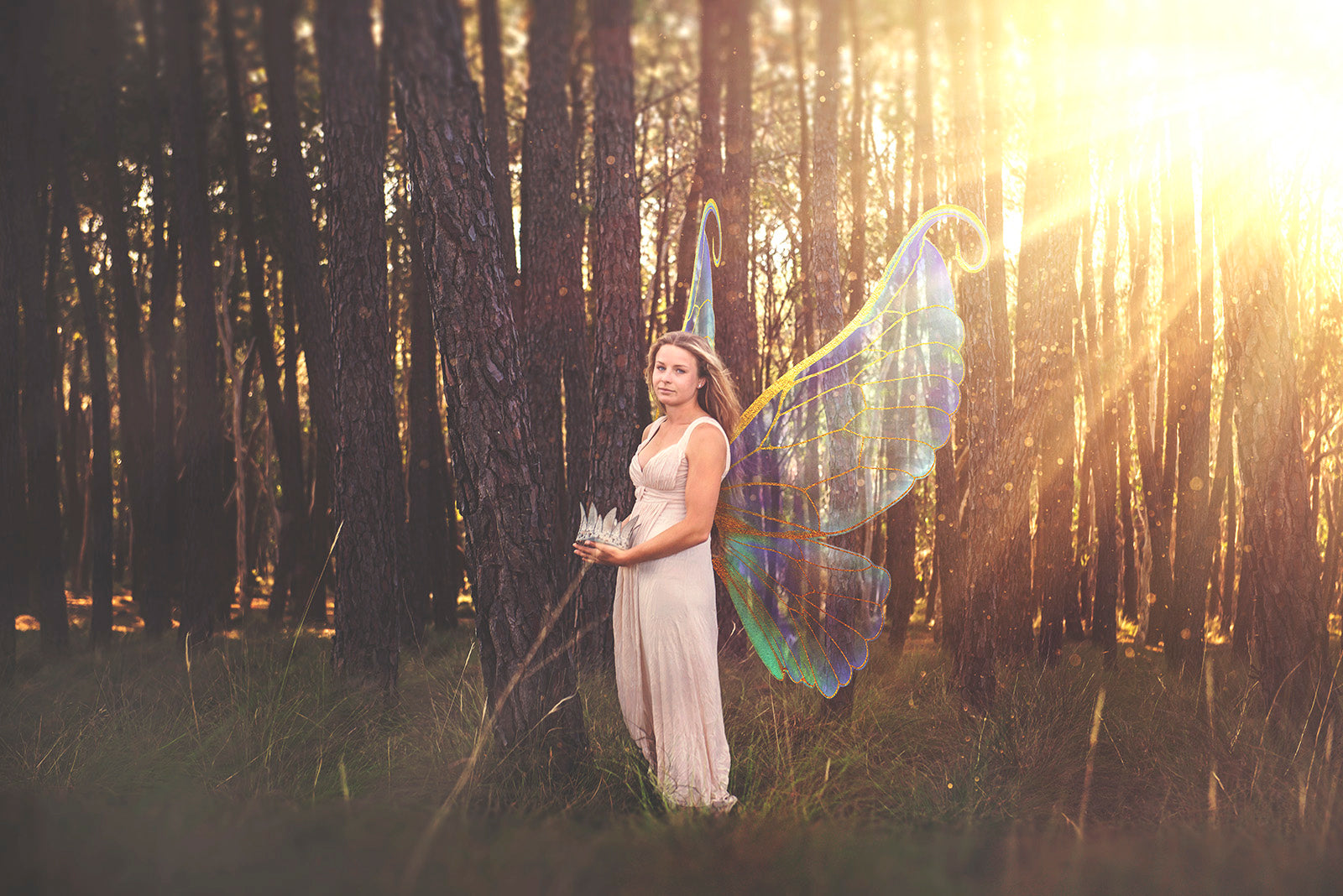 Digital Faery Wing Overlays! For Photographers, Digital Scrapbooking, Print, Fantasy Edits. Photoshop. Fairy wings, Png overlays for photoshop. Photography editing. High resolution, 300dpi fairy wings. Overlays for photography. Digital stock and resources. Graphic design. Fairy Photos. Colourful Faerie Wings. Digital Assets for photographers.