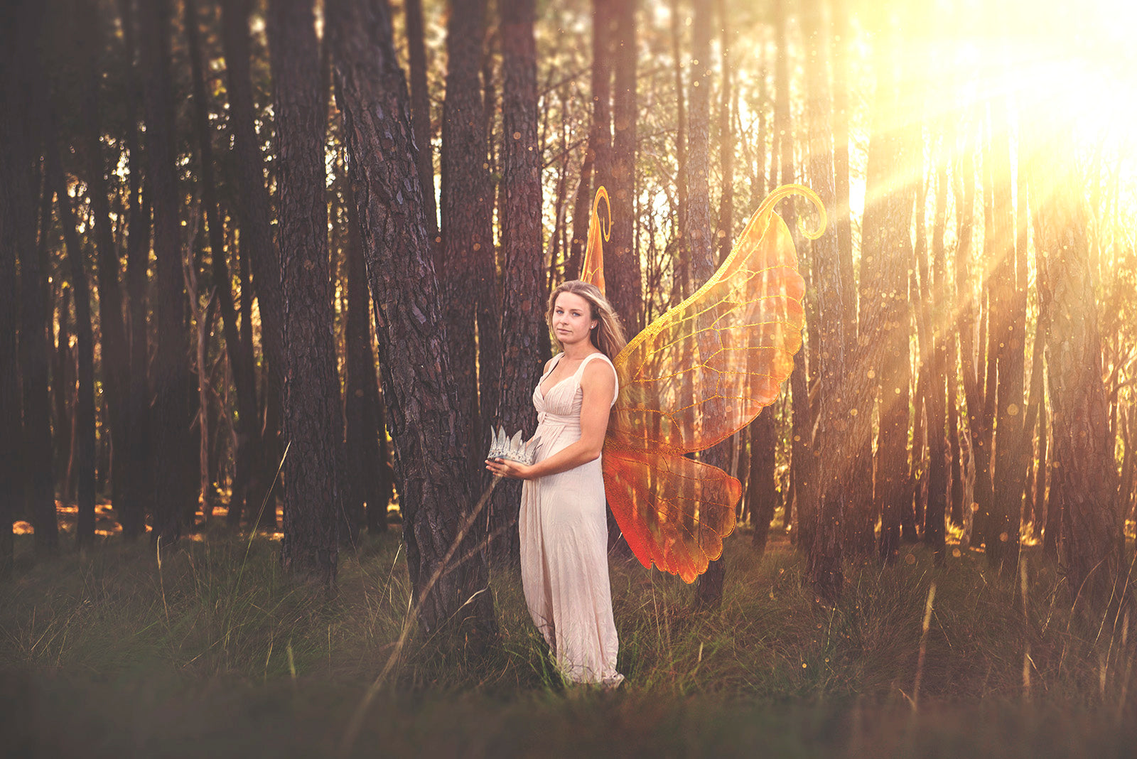 Digital Faery Wing Overlays! For Photographers, Digital Scrapbooking, Print, Fantasy Edits. Photoshop. Fairy wings, Png overlays for photoshop. Photography editing. High resolution, 300dpi fairy wings. Overlays for photography. Digital stock and resources. Graphic design. Fairy Photos. Colourful Faerie Wings. Digital Assets for photographers.