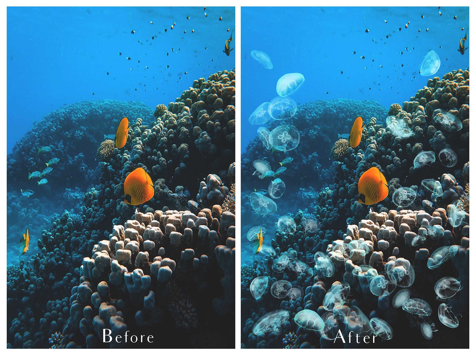 Png Overlays for photographer and digital artists. Jellyfish Overlays, Bubble Overlays, fine art photo overlays by ATP textures. High resolution, 300dpi.