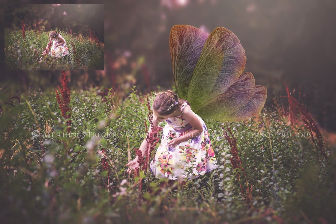 Digital Fairy Wings Overlays clipart. Png transparent see through files for photoshop. Butterfly Angel, Color, Print Photography editing. High resolution, 300dpi. Printable, Photography Graphic design assets, add on stock resources. Magical Scrapbooking design. Faery Photographer edit. Colorful Big Bundle. ATP Textures