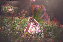 Load image into Gallery viewer, 20 Png NATURE FAIRY WING Overlays Set 2
