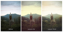 Load image into Gallery viewer, LEMON TWIST Mini Set Photoshop Actions
