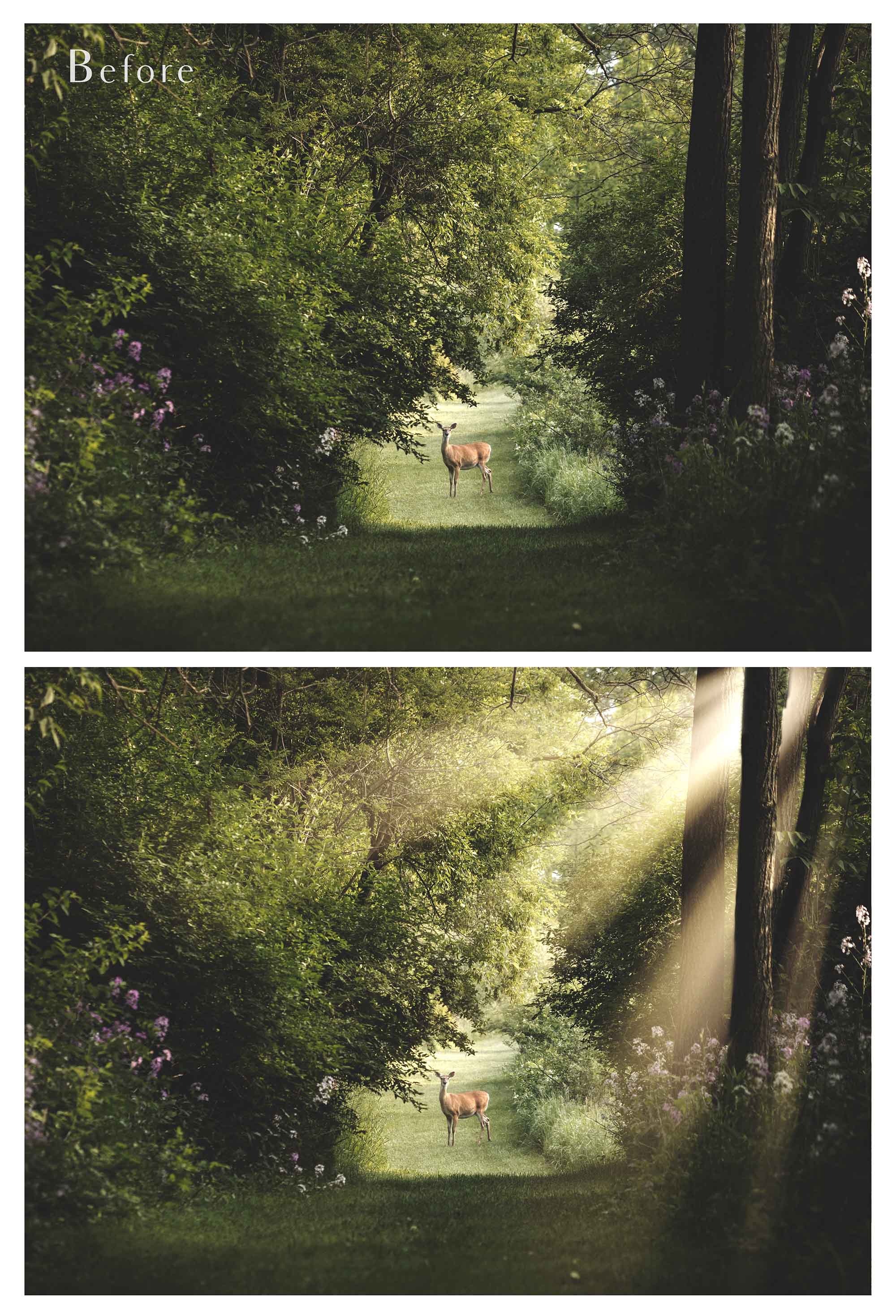 Png and Jpeg overlays for photographers. light beams, Sunlight, sunshine overlay, Sun flare overlay, sun rays, digital background, high resolution overlays by ATP textures.