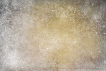 Load image into Gallery viewer, 10 Fine Art TEXTURES - LIGHT Set 19
