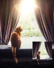 Load image into Gallery viewer, 48 FLARE Digital Overlays - Bundle No.2
