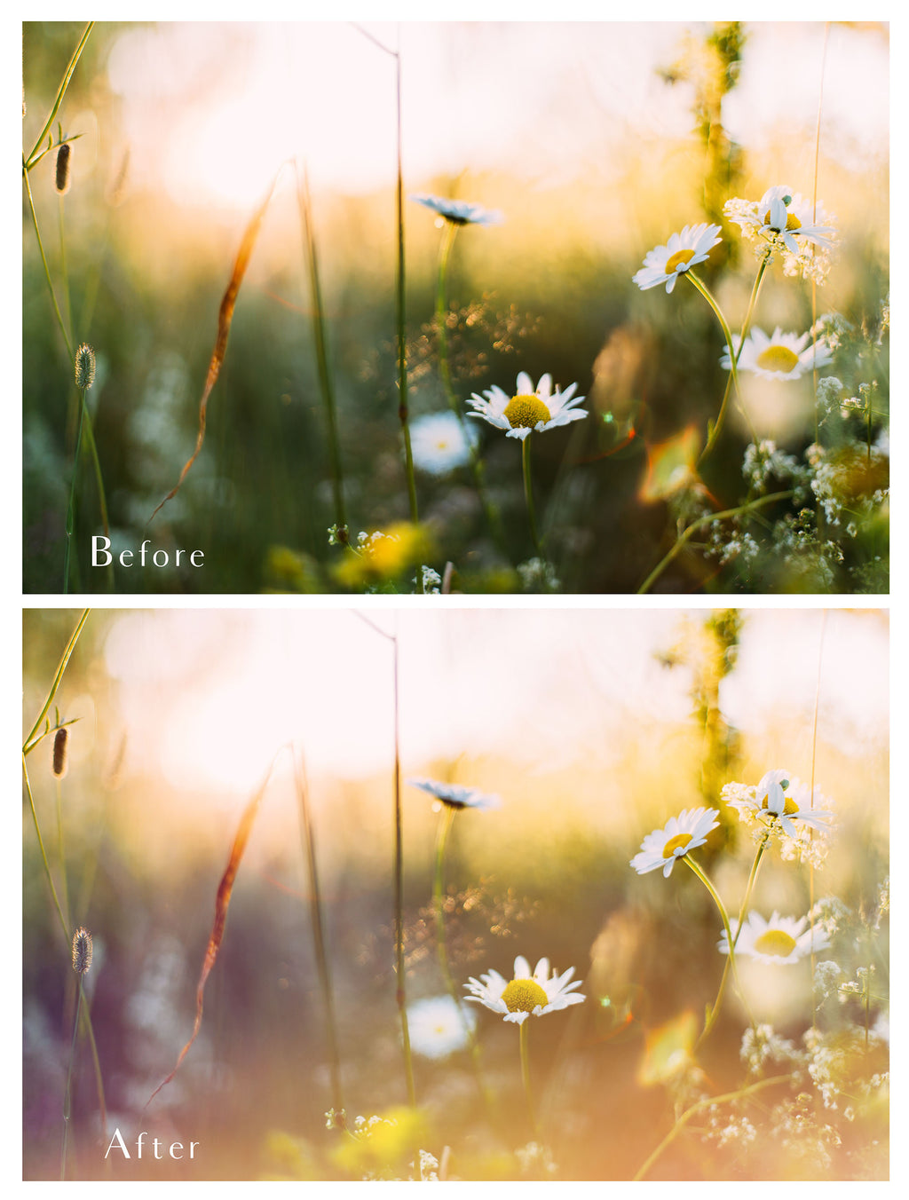 Light Leak Overlays for photography. Colour, fine art photo editing. High resolution. Graphic colour assets for photographers. Digital download design. Peek through soft colour add on. Bundles for inspiration. Beautiful design. Creative Photo Professional quality. Atp textures.