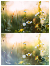 Load image into Gallery viewer, 24 LIGHT LEAK FLARE Set 5 Digital Overlays
