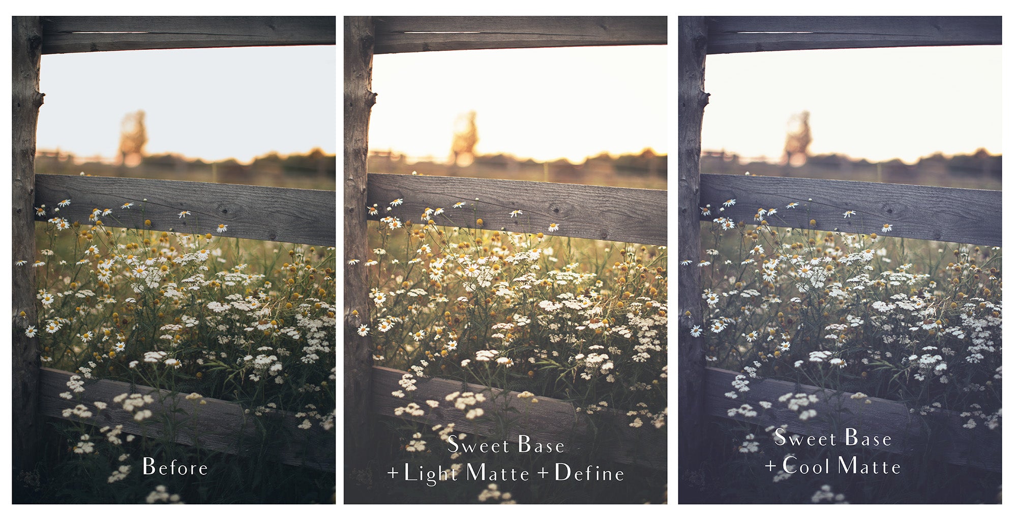 Photoshop Actions for Photography Edits. PS atn files are compatible with all versions of PS CS6. Photoshop Actions for professional photographers, photo edits and Instagram influencers. Warm, Rich, Light, Matte. For Wedding, Newborn, Studio Photography. By ATP Textures