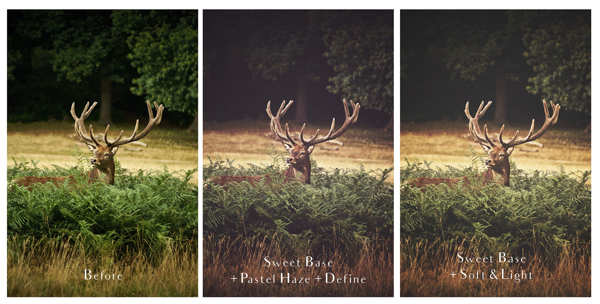 Photoshop Actions for Photography Edits. PS atn files are compatible with all versions of PS CS6. Photoshop Actions for professional photographers, photo edits and Instagram influencers. Warm, Rich, Light, Matte. For Wedding, Newborn, Studio Photography. By ATP Textures