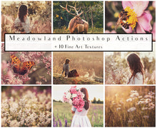 Load image into Gallery viewer, MEADOWLAND Photoshop Actions
