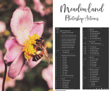 Load image into Gallery viewer, MEADOWLAND Photoshop Actions

