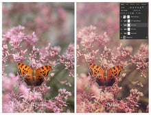 Load image into Gallery viewer, MEADOWLAND Photoshop Actions
