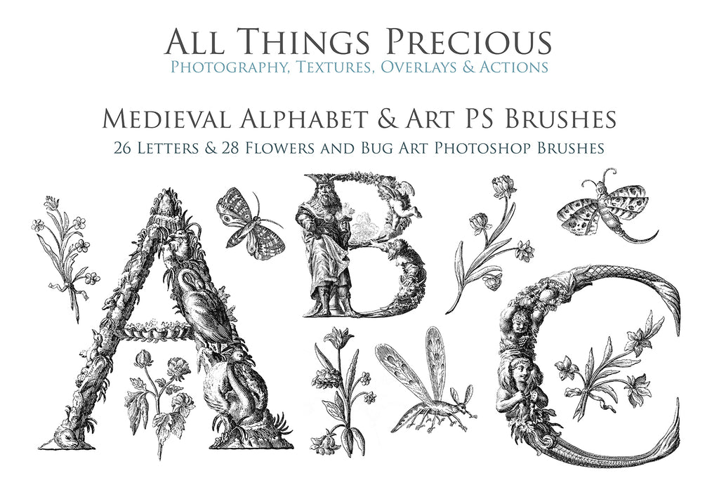 Photoshop brushes for photography and digital design.  Alphabet letters from medieval images. Flowers and bugs. High resolution digital files.  ATP Textures 