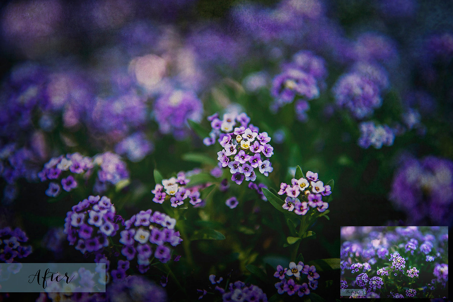 Green purple tinted textures. Fine art textures. Texture for photographers and digital editing. Photo Overlays. Antique, Vintage, Grunge, Light, Dark Bundle. Textured printable Canvas, Colour, Monochrome, Bundle. High resolution, 300dpi Graphic Assets for photography, digital scrapbooking and design. By ATP Textures