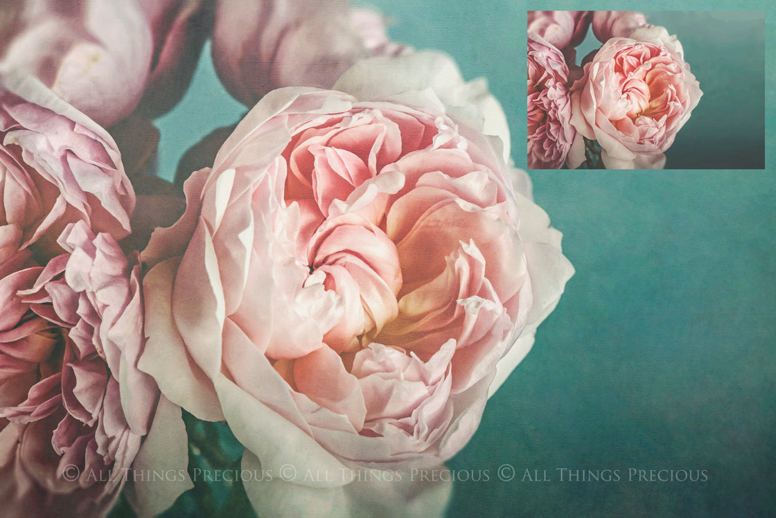 Green purple tinted textures. Fine art textures. Texture for photographers and digital editing. Photo Overlays. Antique, Vintage, Grunge, Light, Dark Bundle. Textured printable Canvas, Colour, Monochrome, Bundle. High resolution, 300dpi Graphic Assets for photography, digital scrapbooking and design. By ATP Textures