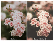 Load image into Gallery viewer, MODERN VINTAGE FILM Photoshop Actions
