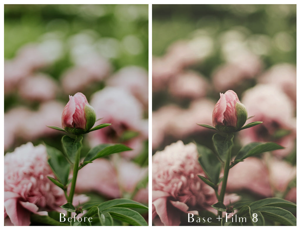 Photoshop Actions for Photography Edits. PS atn files are compatible with all versions of PS CS6. Photoshop Actions for professional photographers, photo edits and Instagram influencers. Warm, Rich, Light, Matte. For Wedding, Newborn, Studio Photography. By ATP Textures