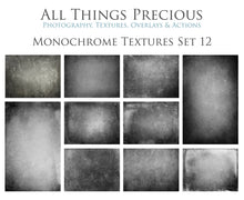 Load image into Gallery viewer, 10 Fine Art TEXTURES - MONOCHROME Set 12
