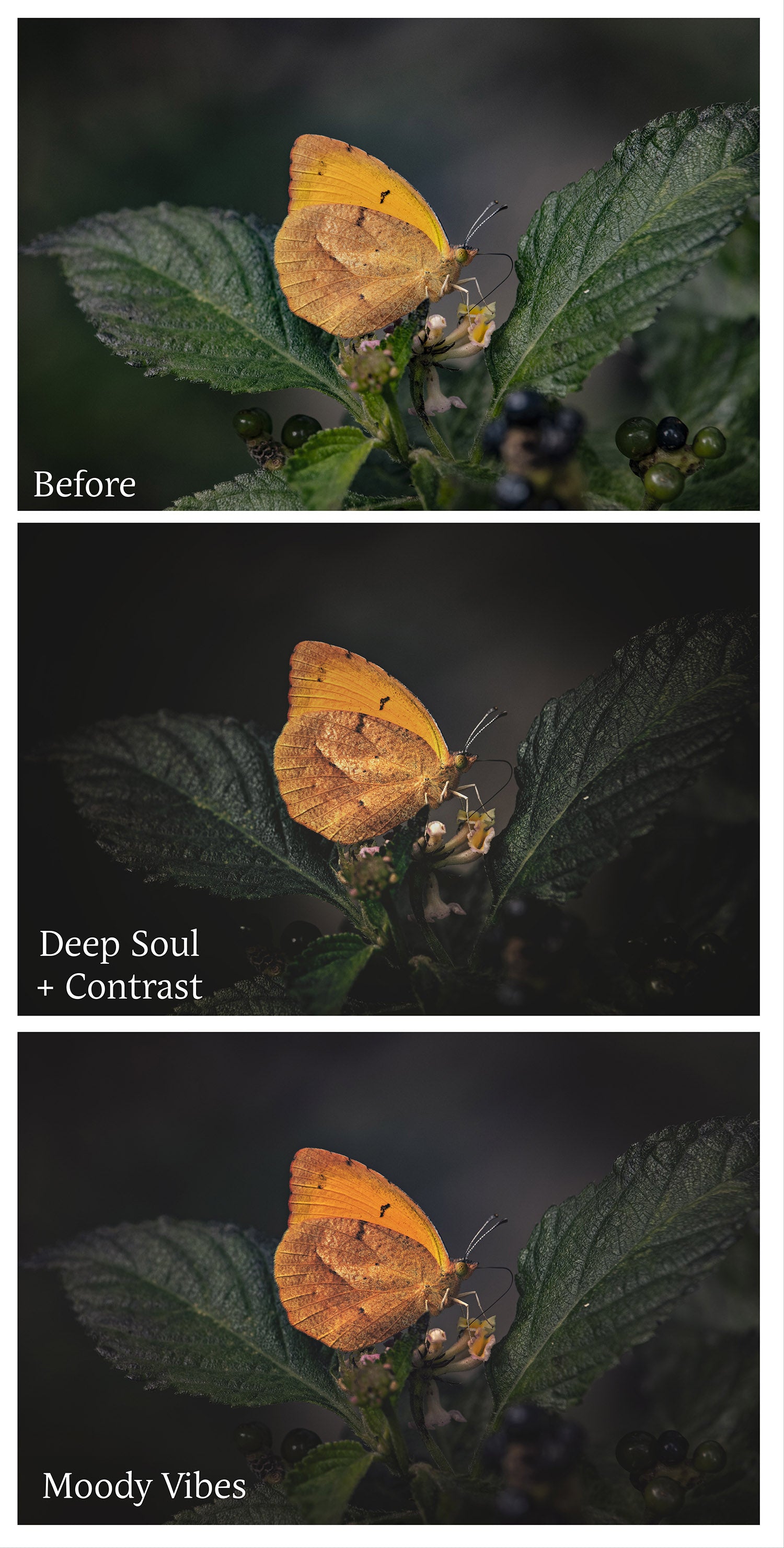 Photoshop Actions for Photography Edits. PS atn files are compatible with all versions of PS CS6. Photoshop Actions for professional photographers, photo edits and Instagram influencers. Warm, Rich, Light, Matte. For Wedding, Newborn, Studio Photography. By ATP Textures