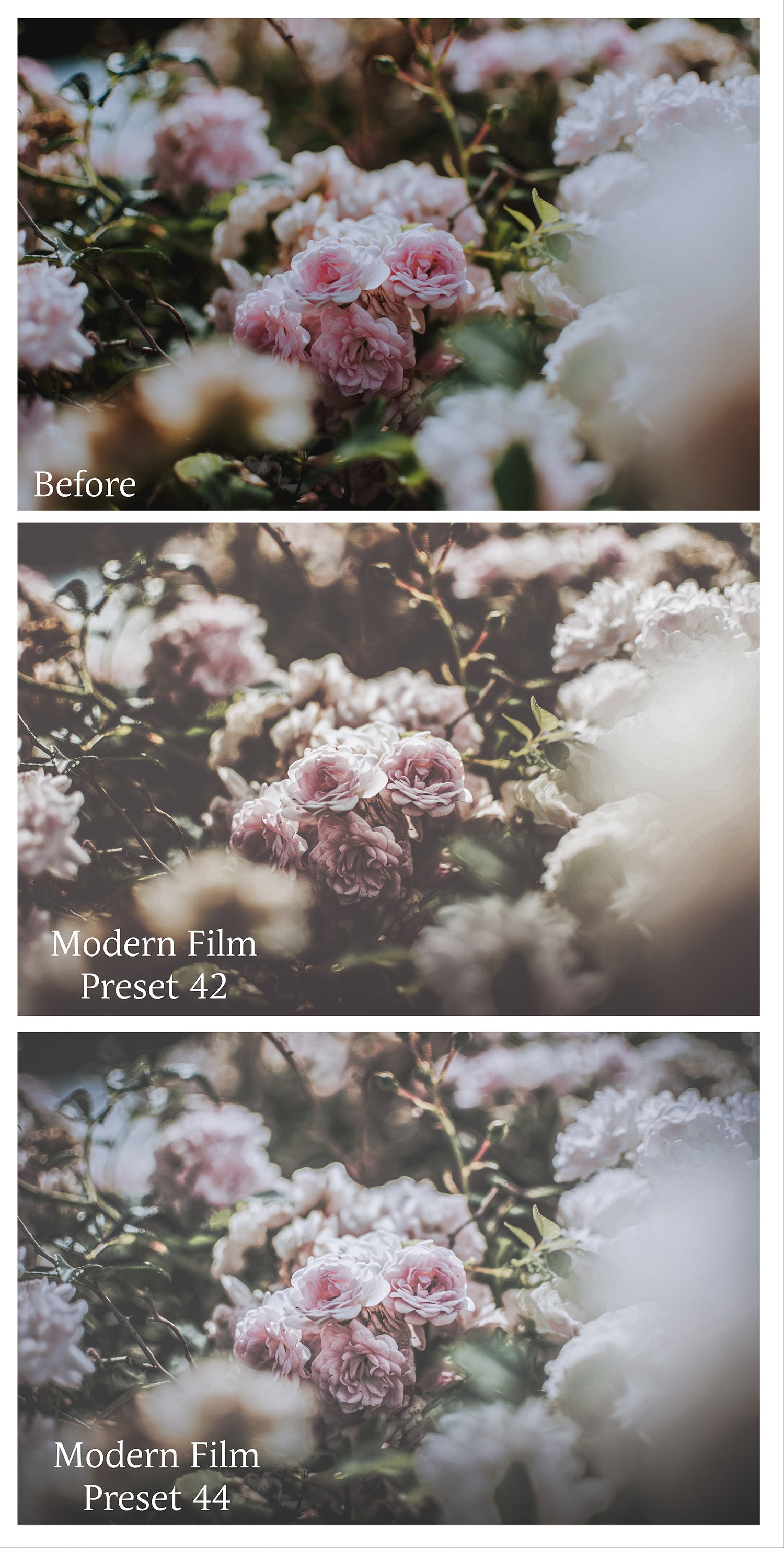 MODERN FILM Set 9 Lightroom Presets - For Mobile and Desktop