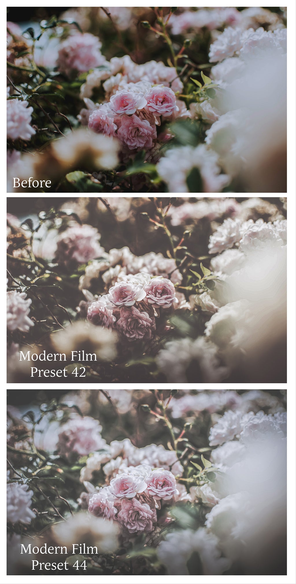 MODERN FILM Set 9 Lightroom Presets - For Mobile and Desktop