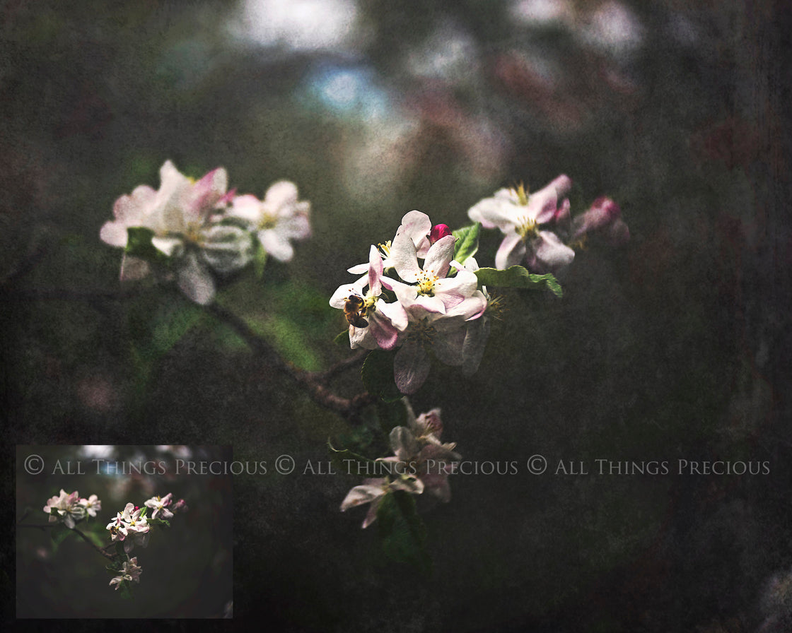 Monochrome textures. Fine art texture for photographers, digital editing. Photo Overlays. Antique, Vintage, Grunge, Light, Dark Bundle. Textured printable Canvas, Colour, black and white, Bundle. High resolution, 300dpi Graphic Assets for photography, digital scrapbooking and design. By ATP Textures