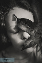 Load image into Gallery viewer, Monochrome textures, photoshop textures, digital textures, images,
