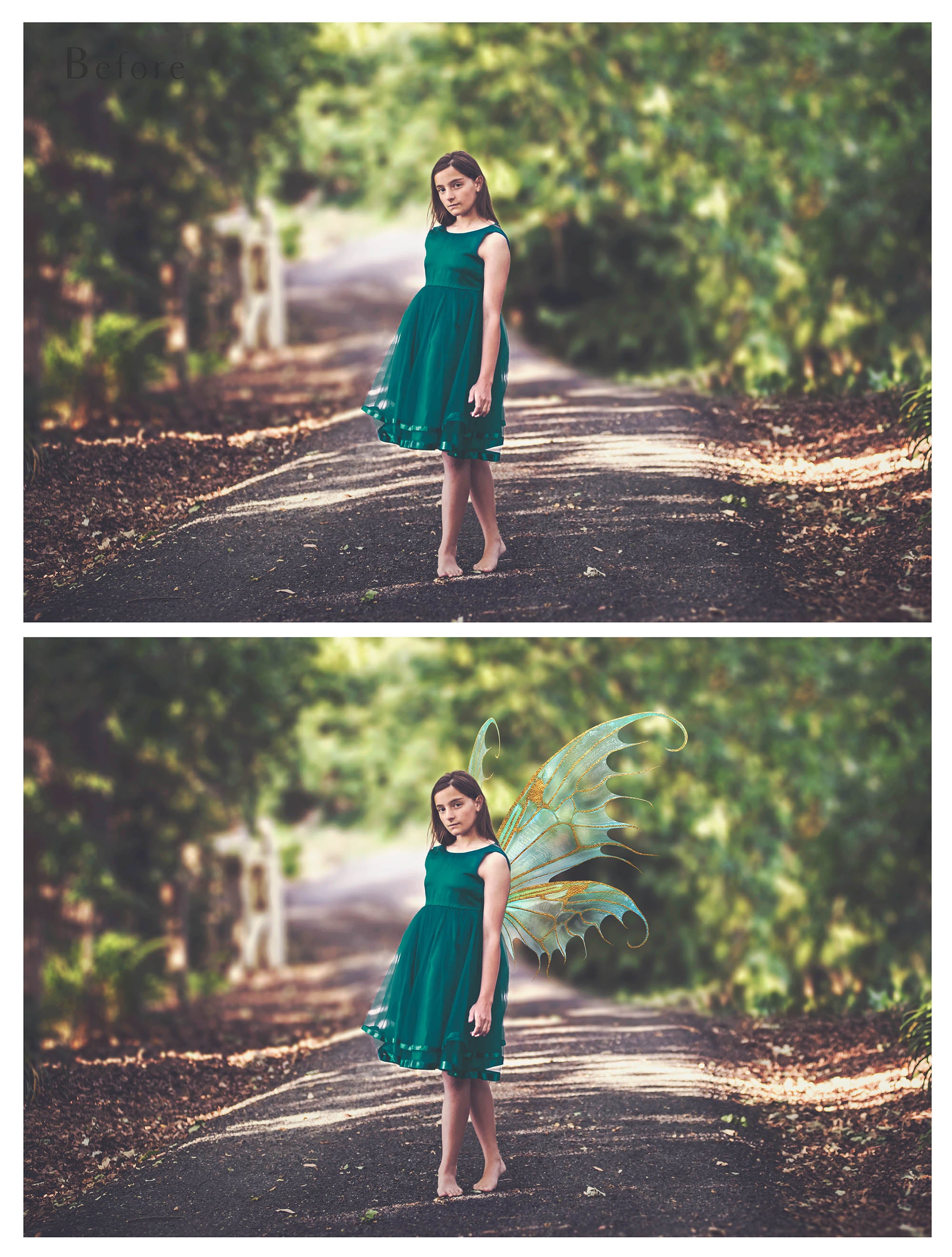 Digital Overlays for Photographers, Graphic design, scrapbooking and creatives.. Fairy Wings. High resolution, fine art digital assets for creating fantasy art.  Png overlay with transparent background. Magical Edit. Png Photo editing art assets.