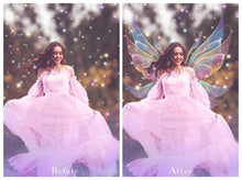 Load image into Gallery viewer, 25 Png MULTICOLOURED FAIRY WING Overlays Set 4
