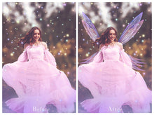 Load image into Gallery viewer, 25 Png MULTICOLOURED FAIRY WING Overlays Set 4
