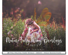 Load image into Gallery viewer, BUNDLE - 80 FAIRY WING OVERLAYS - Set 3

