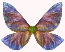 Load image into Gallery viewer, Fairy Wing Overlays For Photographers, Photoshop, Digital art and Creatives. Butterfly fairy wings, Png overlays for photoshop. Photography editing. High resolution, 300dpi. Overlay for photography. Digital stock and resources. Graphic design. Wings for Photos. Colourful Faerie Wings. Overlays for Edits. 
