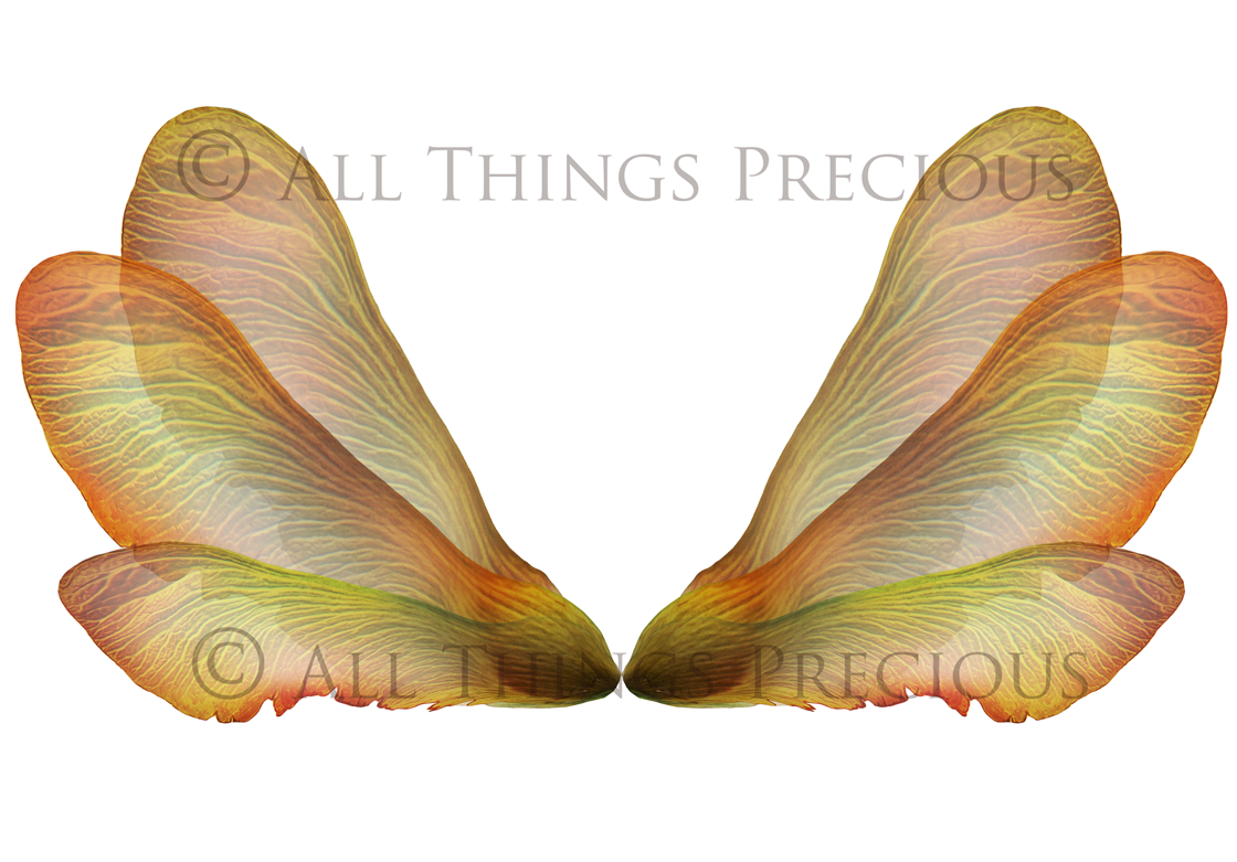 Digital Fairy Wings Overlays clipart. Png transparent see through files for photoshop. Butterfly Angel, Color, Print Photography editing. High resolution, 300dpi. Printable, Photography Graphic design assets, add on stock resources. Magical Scrapbooking design. Faery Photographer edit. Colorful Big Bundle. ATP Textures