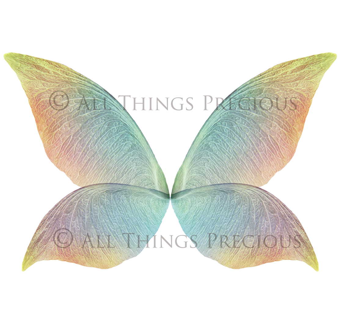 Digital Fairy Wings Overlays clipart. Png transparent see through files for photoshop. Butterfly Angel, Color, Print Photography editing. High resolution, 300dpi. Printable, Photography Graphic design assets, add on stock resources. Magical Scrapbooking design. Faery Photographer edit. Colorful Big Bundle. ATP Textures