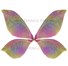 Load image into Gallery viewer, 20 Png NATURE FAIRY WING Overlays Set 2
