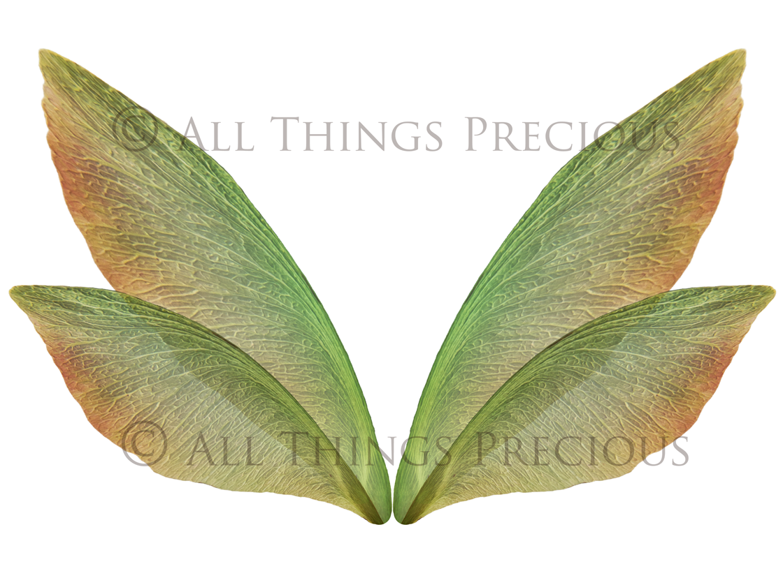 Digital Fairy Wings Overlays clipart. Png transparent see through files for photoshop. Butterfly Angel, Color, Print Photography editing. High resolution, 300dpi. Printable, Photography Graphic design assets, add on stock resources. Magical Scrapbooking design. Faery Photographer edit. Colorful Big Bundle. ATP Textures