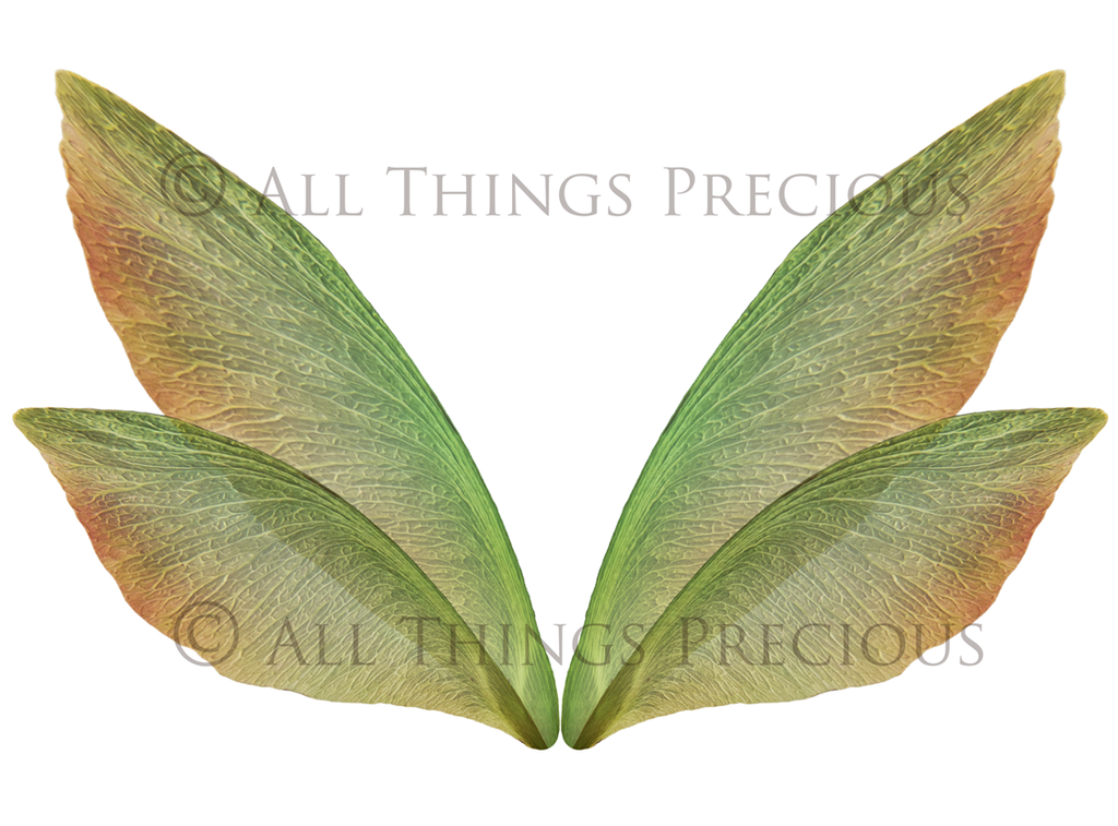 Digital Fairy Wings Overlays clipart. Png transparent see through files for photoshop. Butterfly Angel, Color, Print Photography editing. High resolution, 300dpi. Printable, Photography Graphic design assets, add on stock resources. Magical Scrapbooking design. Faery Photographer edit. Colorful Big Bundle. ATP Textures