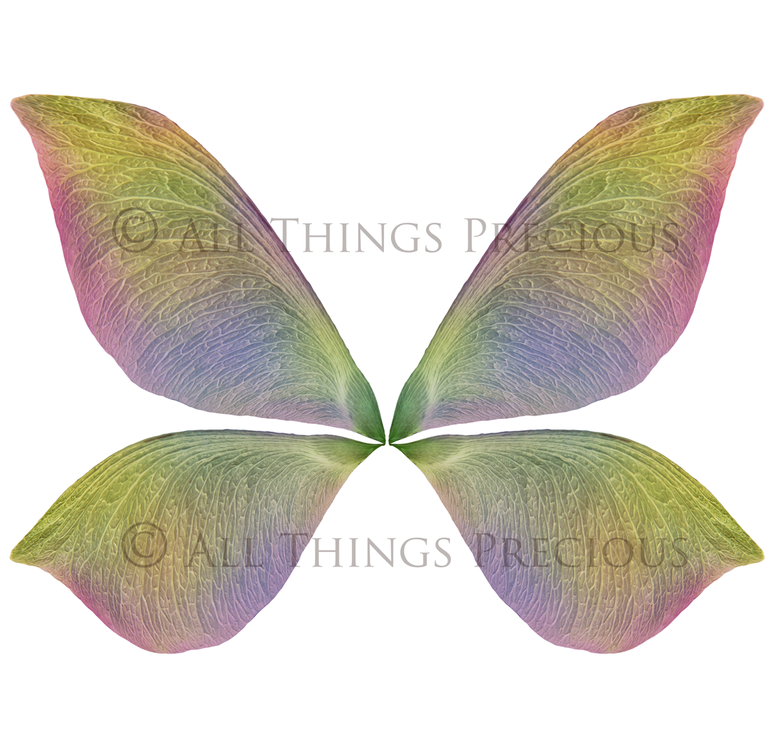 Digital Fairy Wings Overlays clipart. Png transparent see through files for photoshop. Butterfly Angel, Color, Print Photography editing. High resolution, 300dpi. Printable, Photography Graphic design assets, add on stock resources. Magical Scrapbooking design. Faery Photographer edit. Colorful Big Bundle. ATP Textures