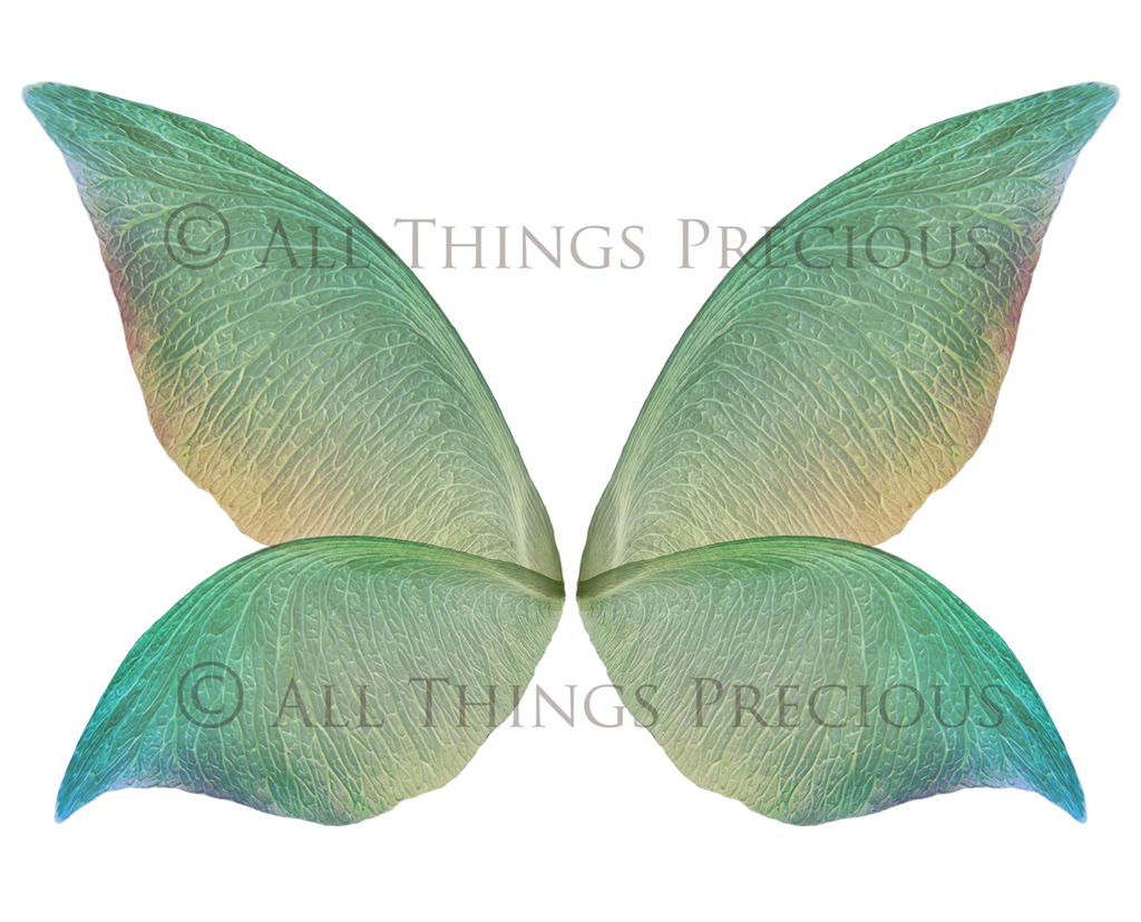 Digital Fairy Wings Overlays clipart. Png transparent see through files for photoshop. Butterfly Angel, Color, Print Photography editing. High resolution, 300dpi. Printable, Photography Graphic design assets, add on stock resources. Magical Scrapbooking design. Faery Photographer edit. Colorful Big Bundle. ATP Textures