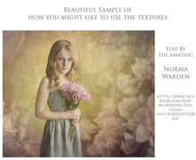 Load image into Gallery viewer, 10 OLD MASTERS Floral Background TEXTURES / DIGITAL BACKDROPS - Set 1
